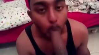 Bengali gay boy sucking horny daddy off